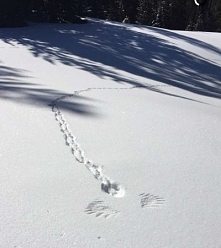 szło, szło, ale się znudziło, więc poleciało :D