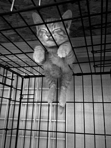 każdą chwila snu jest na wa...