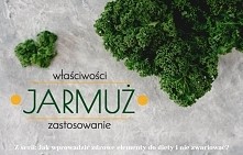 Jak wprowadzić zdrowe elementy do diety i nie zwariować? Jarmuż właściwości i zastosowanie
