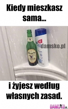 Dokładnie ;d