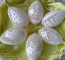 BJGoleń Poniatowa Lubelskie