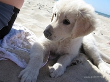 Hej! Pisze, bo współpracuje...