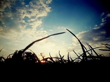 Nadzieja zawsze przychodzi z następnym wschodem słońca