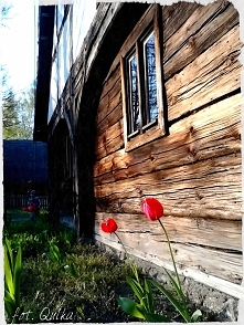 Skansen Ochla-Zielona Góra