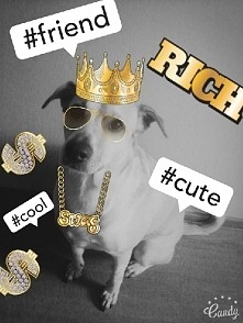 #cool#cute#friend#swag#rich#