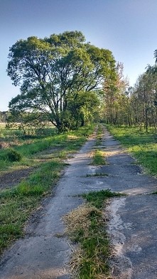 Pierwsza próba joggingu za ...