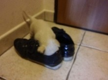 ciekawe jakich smaklykow ta...