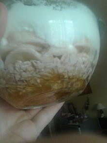 fit śniadanie*.* pyszne!!