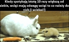 Każdy ma priorytety :D