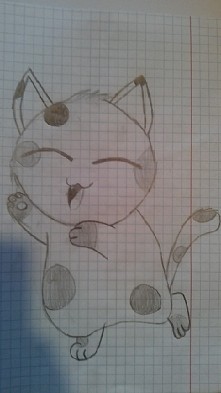 kotek