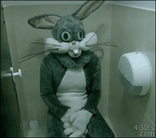xdd