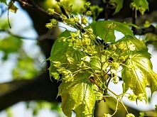 Przyroda
inspiracjemamylaury