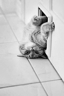 wcale nie utknąłem... odpoc...