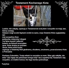 Gdyby koty potrafiły pisać testament....