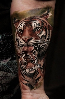 duży tygrys z małym tygrysem