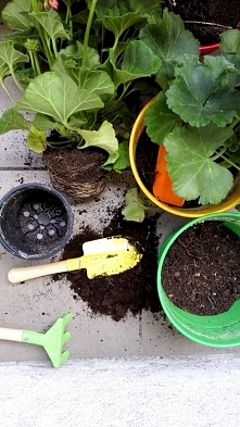 Udekoruj swój balkon! zaaranżować możńa każdy - nawet mały i wąski! Zapraszamy po szcegóły po kliknięciu w zdjęcie.
