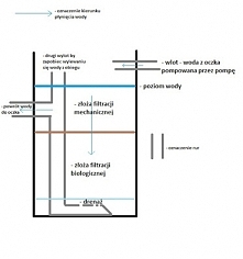 Zasada działania filtra przelewowego : )
<klik w zdjęcie do artykułu>