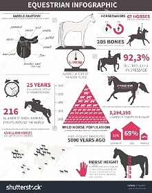 Ktoś jeszcze jeździ konno? ;)