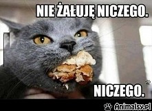 nie żałuję niczego, NICZEGO