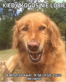 To takie znajome uczucie...