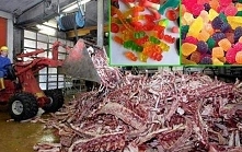 Obraz dla wielu smutny. Żelatyna wieprzowa to nie mogło znaczyć nic innego :(