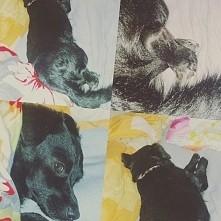 moje słodkie pieso :)