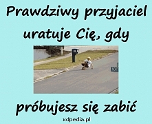przyjaciele