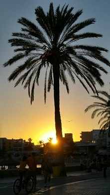 ... wiecej na @liberateme06 IG