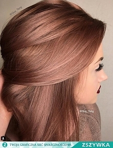 Hej, wiecie może jaki to ko...