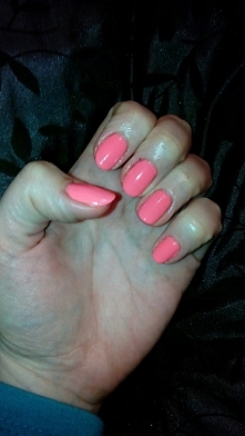 Amatorskie, hybrydy pink doll