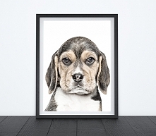 SZCZENIAK - OBRAZEK, PLAKAT, DEKORACJA A3