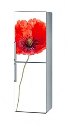 Naklejka na lodówkę - Samotny mak 1135