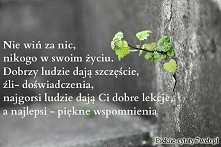 zawsze lekcja nigdy porażka...