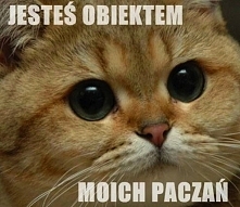 JESTES MOIM OBIEKTEM XD