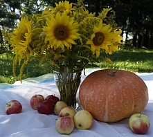 Kwiaty z naszej ląki