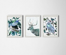 3 ilustracje A3