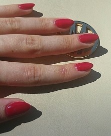 lakier hybrydowy SPN 589