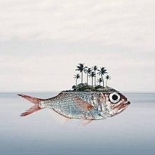 inspiracja na rysunek