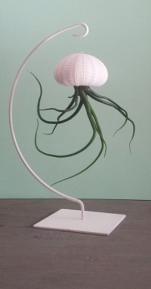 Niestety nie bardzo "wegańskie" ale z założenia ciekawe, tylko trzeba zastąpić czymś muszle. Przyznaje jednak, że sobie takie sprawie tylko gliniane ;) Dla mnie to tu ...