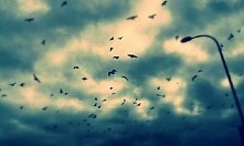 Moje 2 ulubione zdjęcie
(sa...