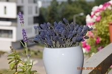 Fioletowa Góra zaprasza na FB