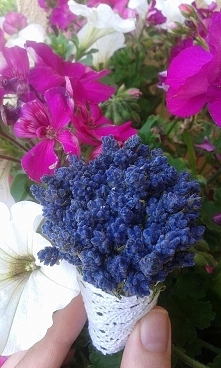 Fioletowa Góra zaprasza na FB