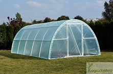 Ogórki z przydomowego tunelu