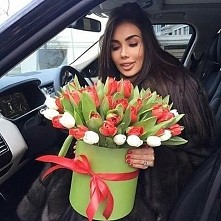 tulip any