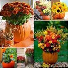 Bukiety z kwiatów jesiennych