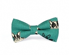 Dogue. Turkusowa mucha w buldogi