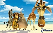 Którą z postaci jesteś ?