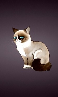 Grumpy Cat ^-^