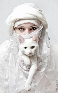 ♥ ✿⊱╮