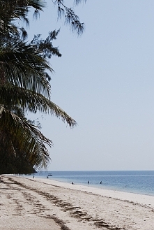 Zapraszam do oglądania i subskrybowania, będzie ciekawie! ;)
YouTube --> ps.sliwka